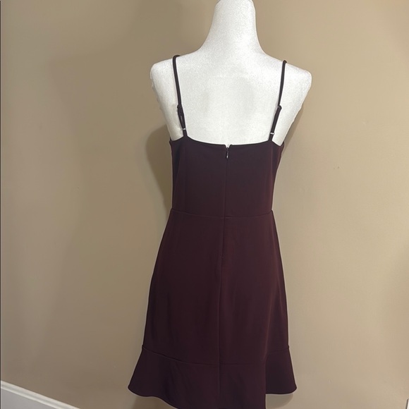 Express Burgundy Spaghetti Strap Slip Mini Dress - Picture 3 of 13